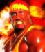Zodii Hulk Hogan